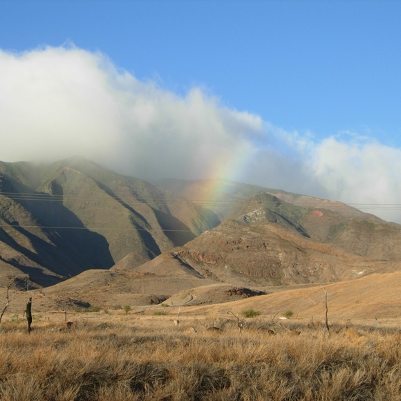 Meet your Posher, Theolyn - Picture 4 of 4